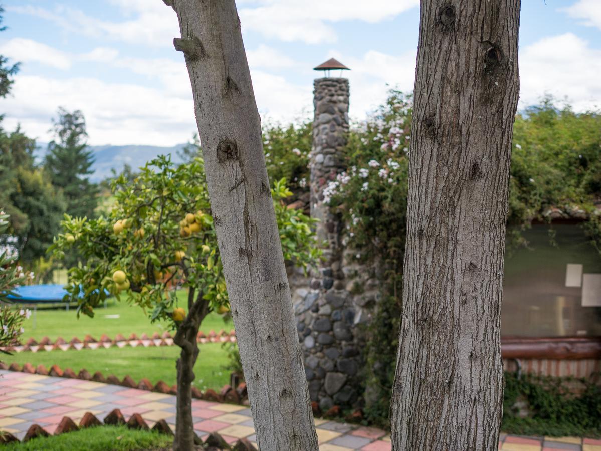 Zaysant Ecolodge Puembo Exteriér fotografie